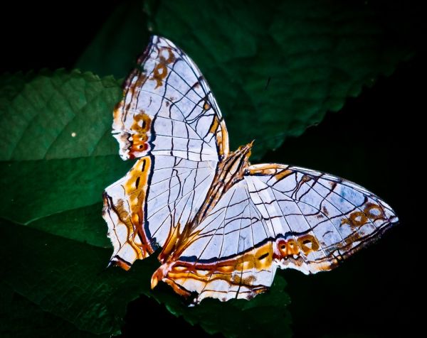 Okinawa, Okinawa
