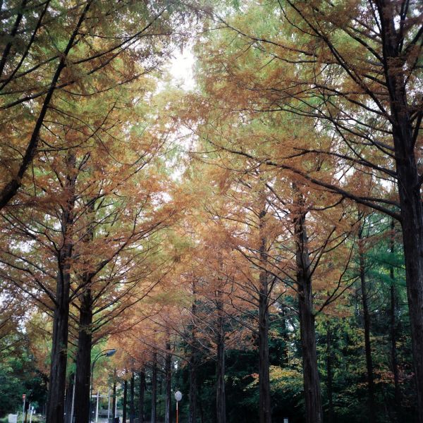 Tsukuba, Ibaraki