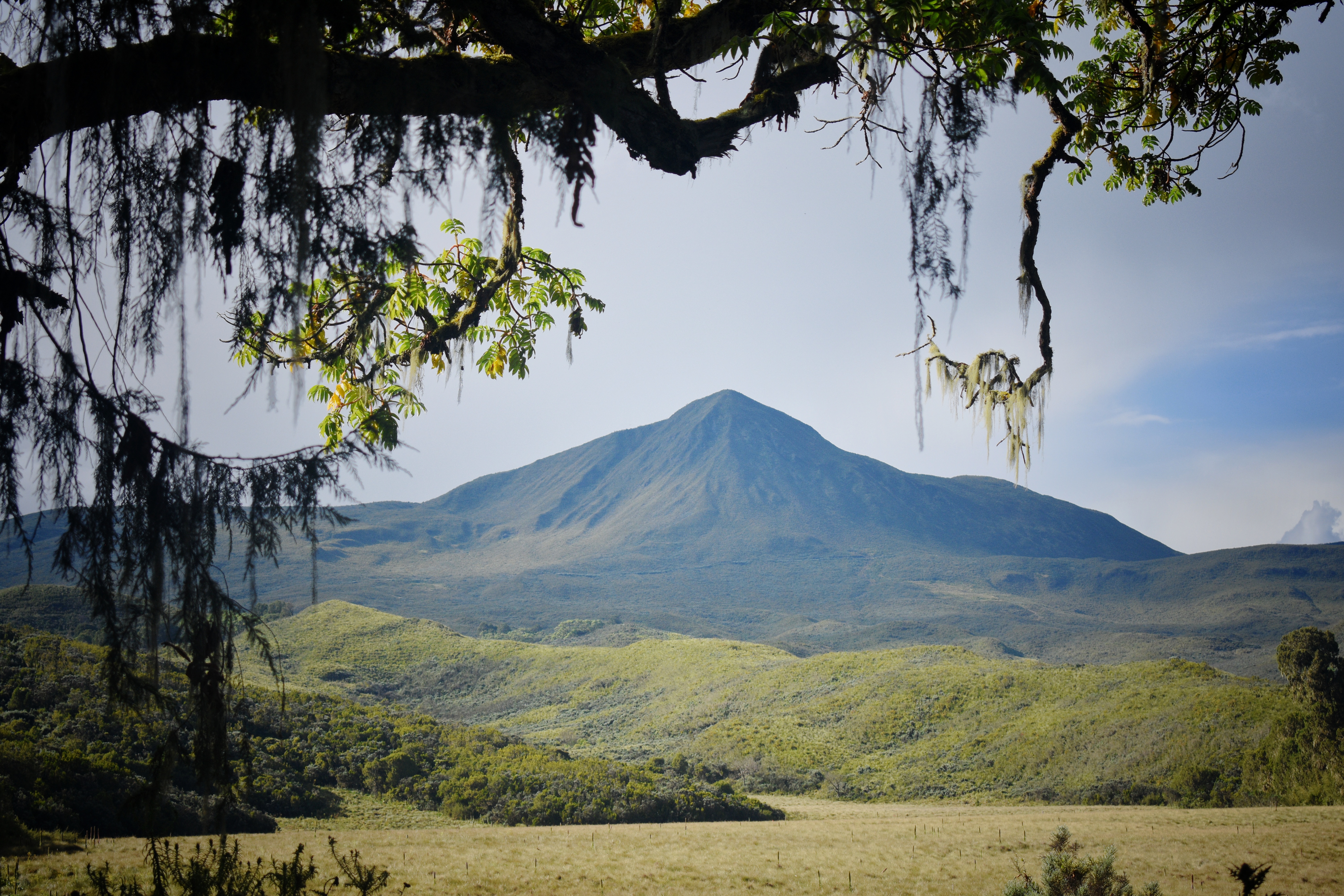 Mugi Hill photo 4