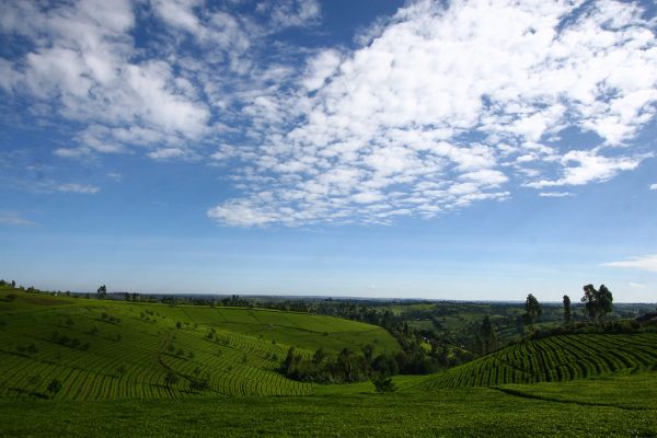 Olenguruone photo 3
