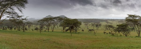 Naivasha photo 2