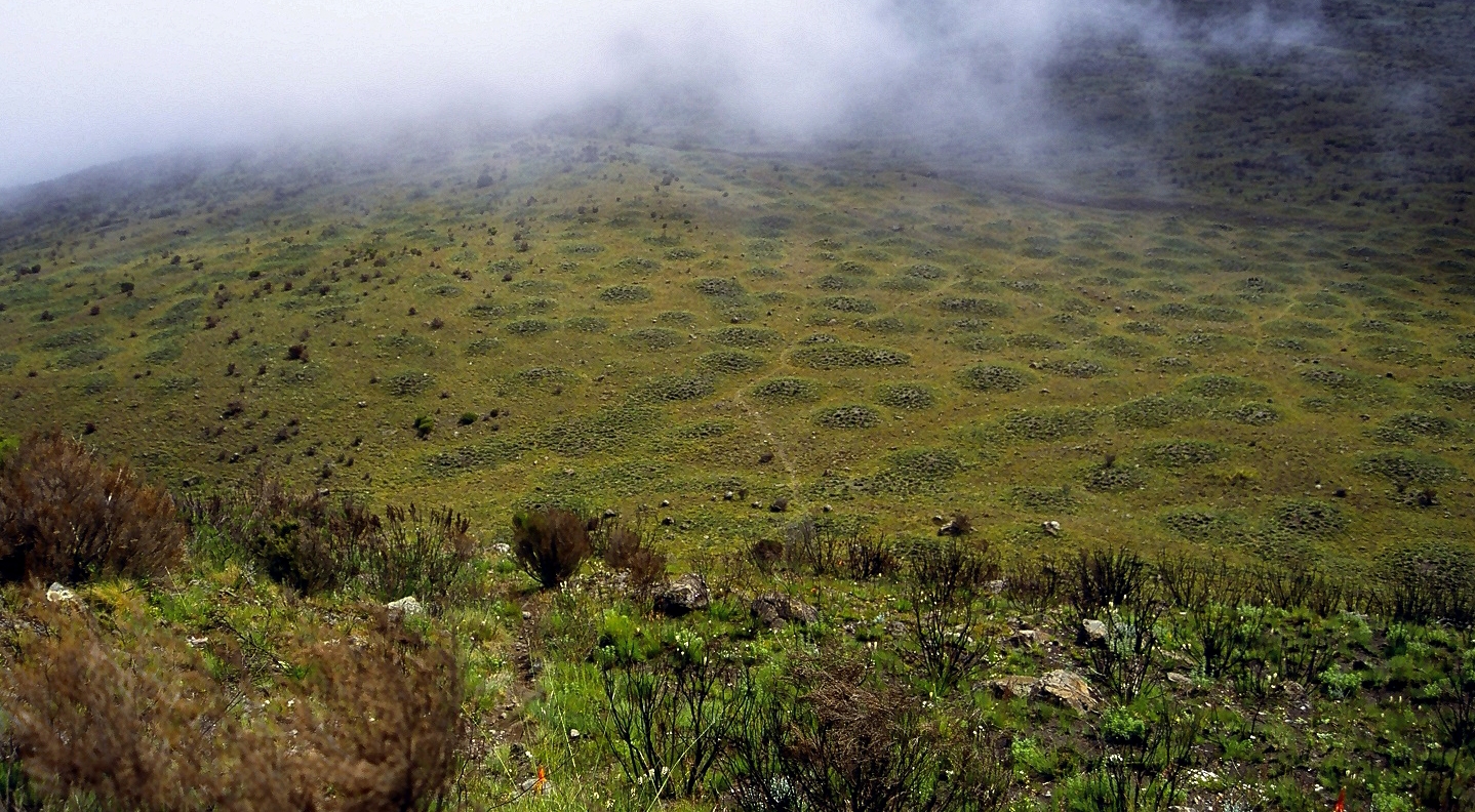 Mugi Hill, Meru County