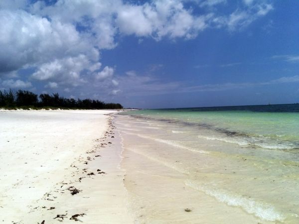 Watamu photo 4