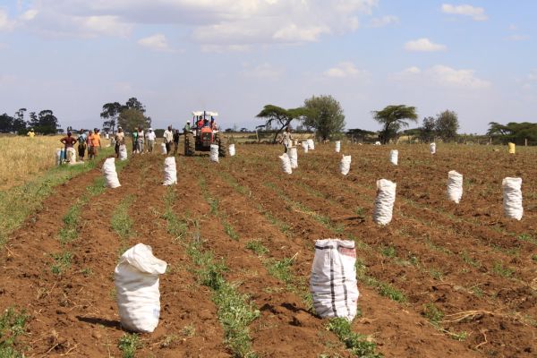 Njoro photo 2