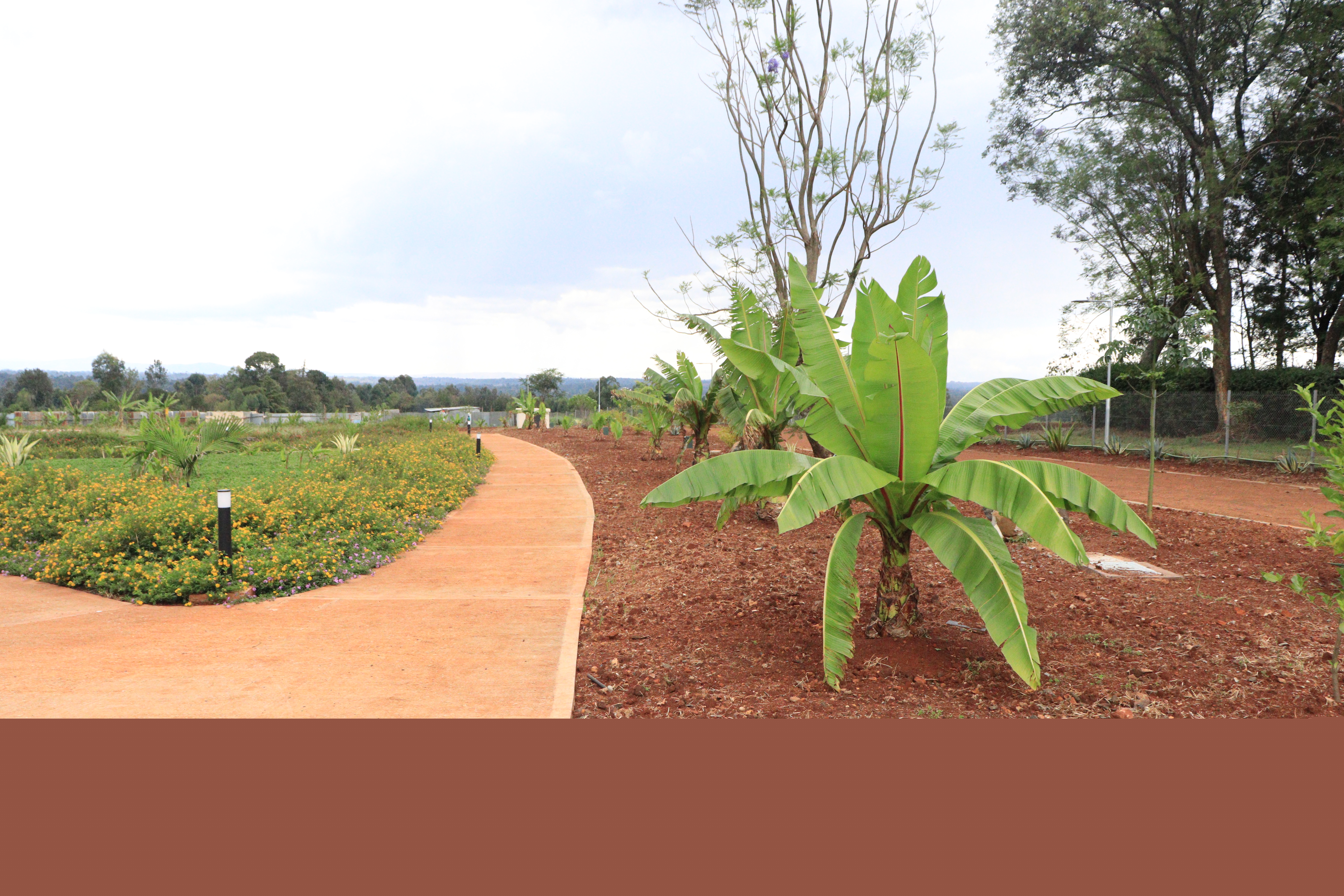 Matunda photo 2