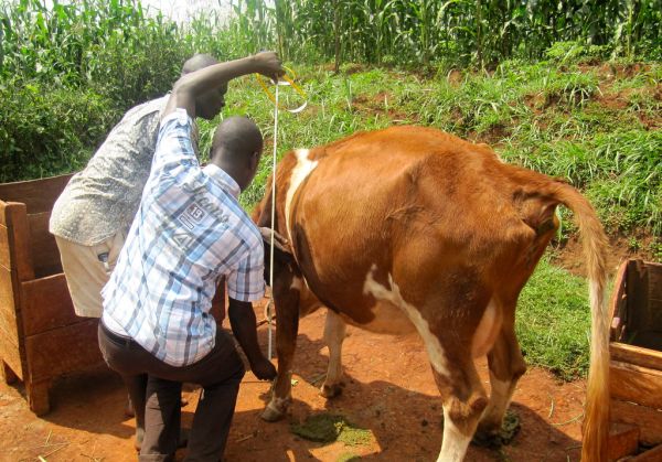 Khwisero, Kakamega County
