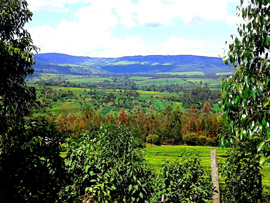 Nandi Hills, Nandi