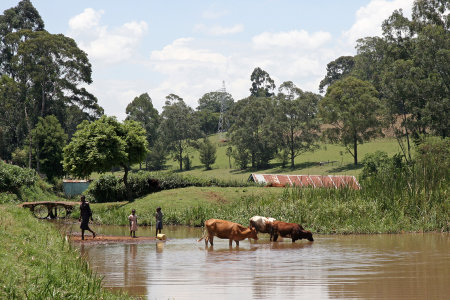 Nyamira, Nyamira county