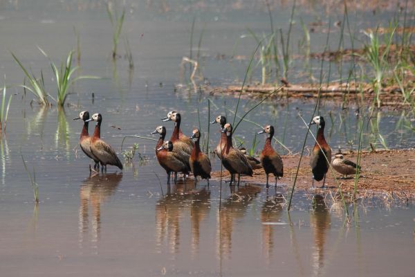 Mwatate, Taita Taveta