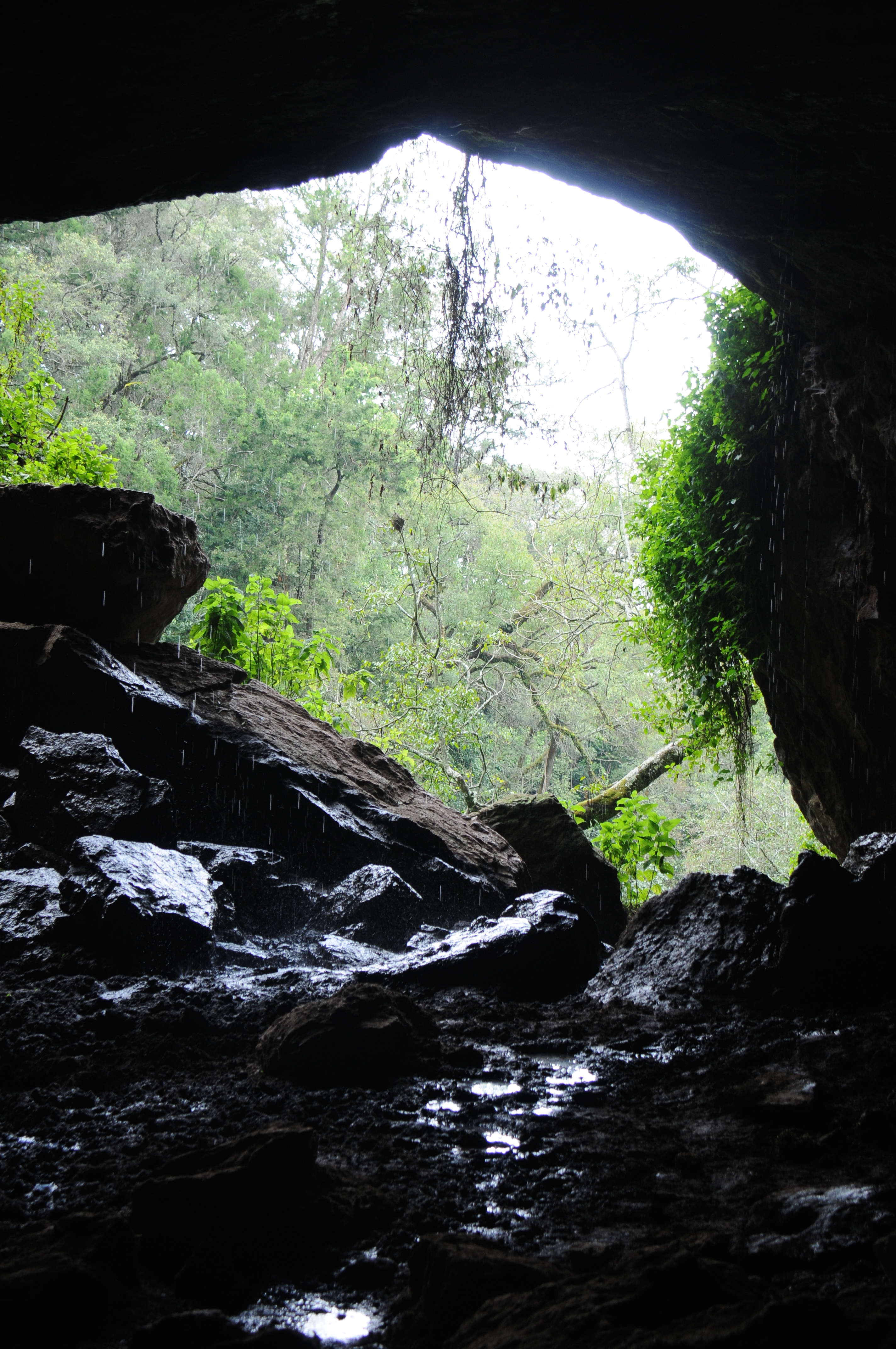 Mount Elgon, 00