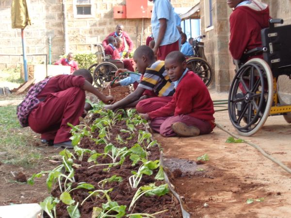 Thika photo 2
