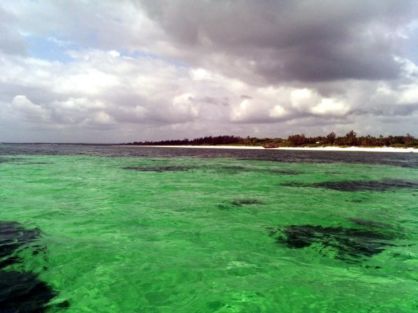 Watamu photo 3