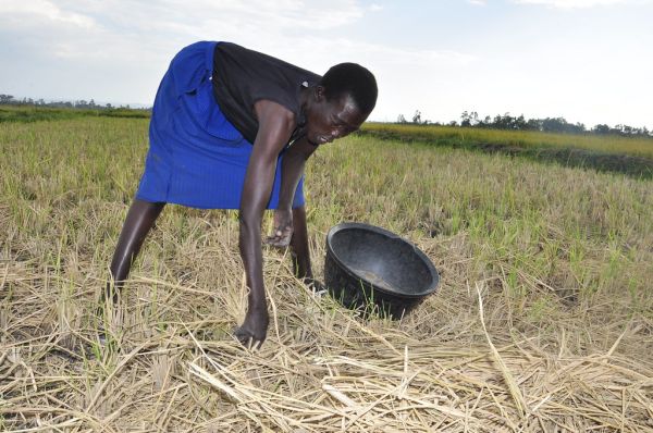 Ahero, Kisumu County