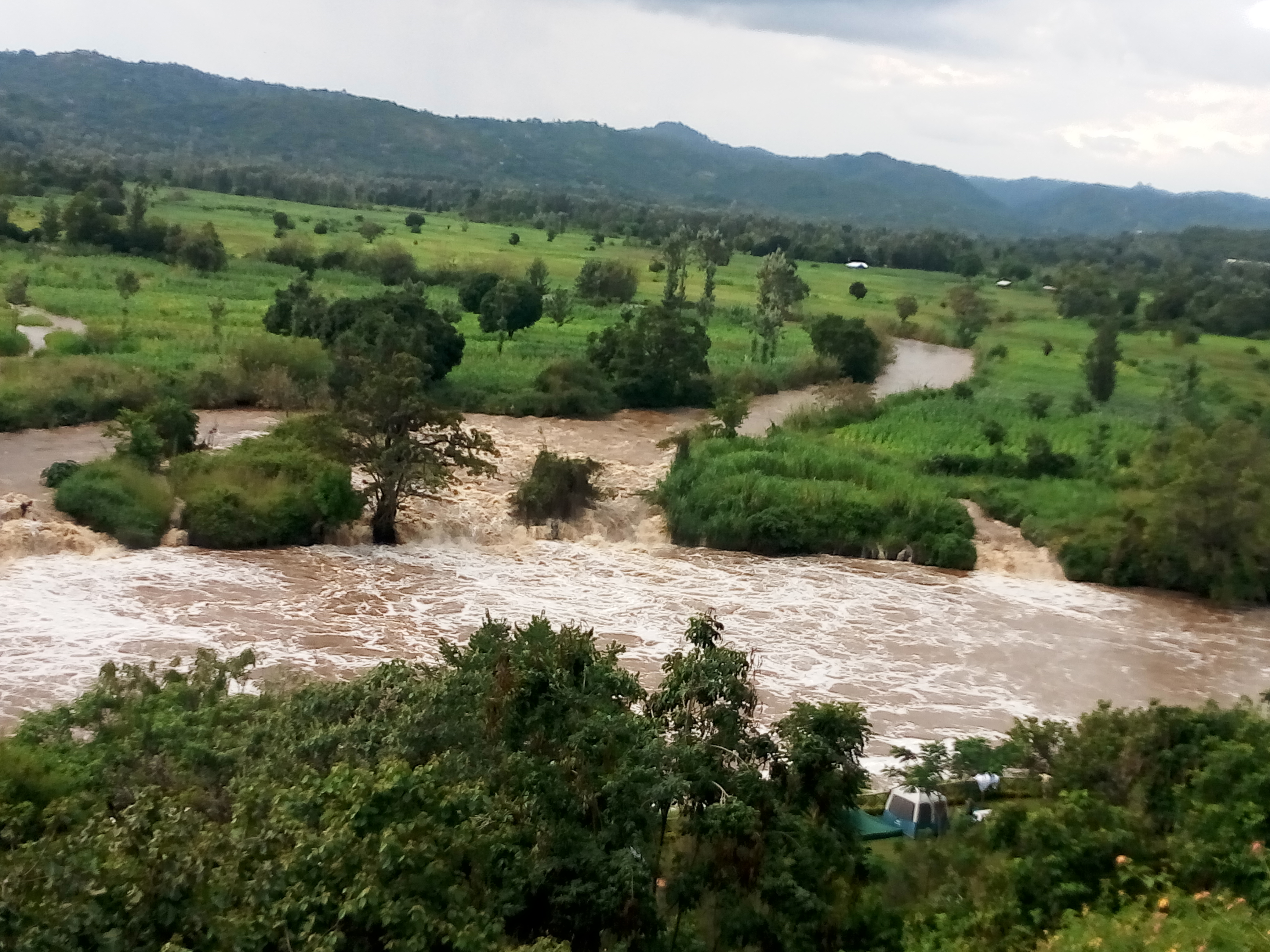 Sagana photo 3