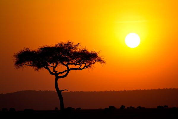 Lemek, Narok County
