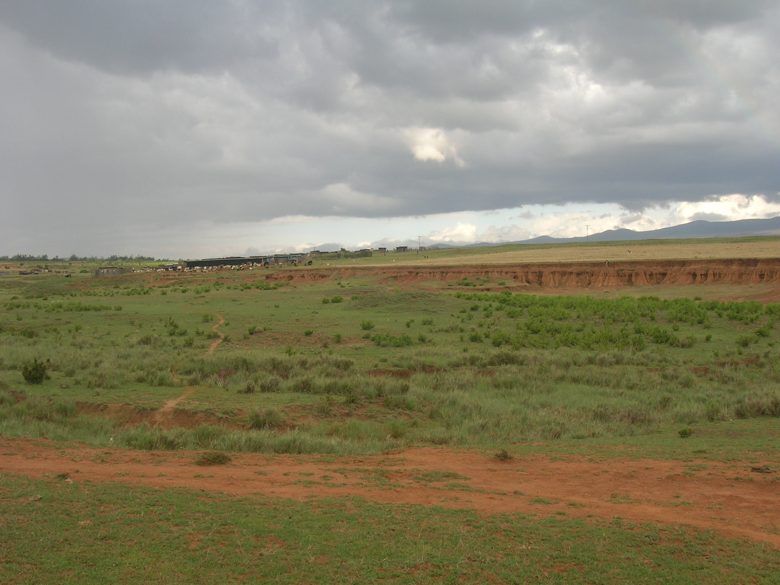 Timau, Meru County