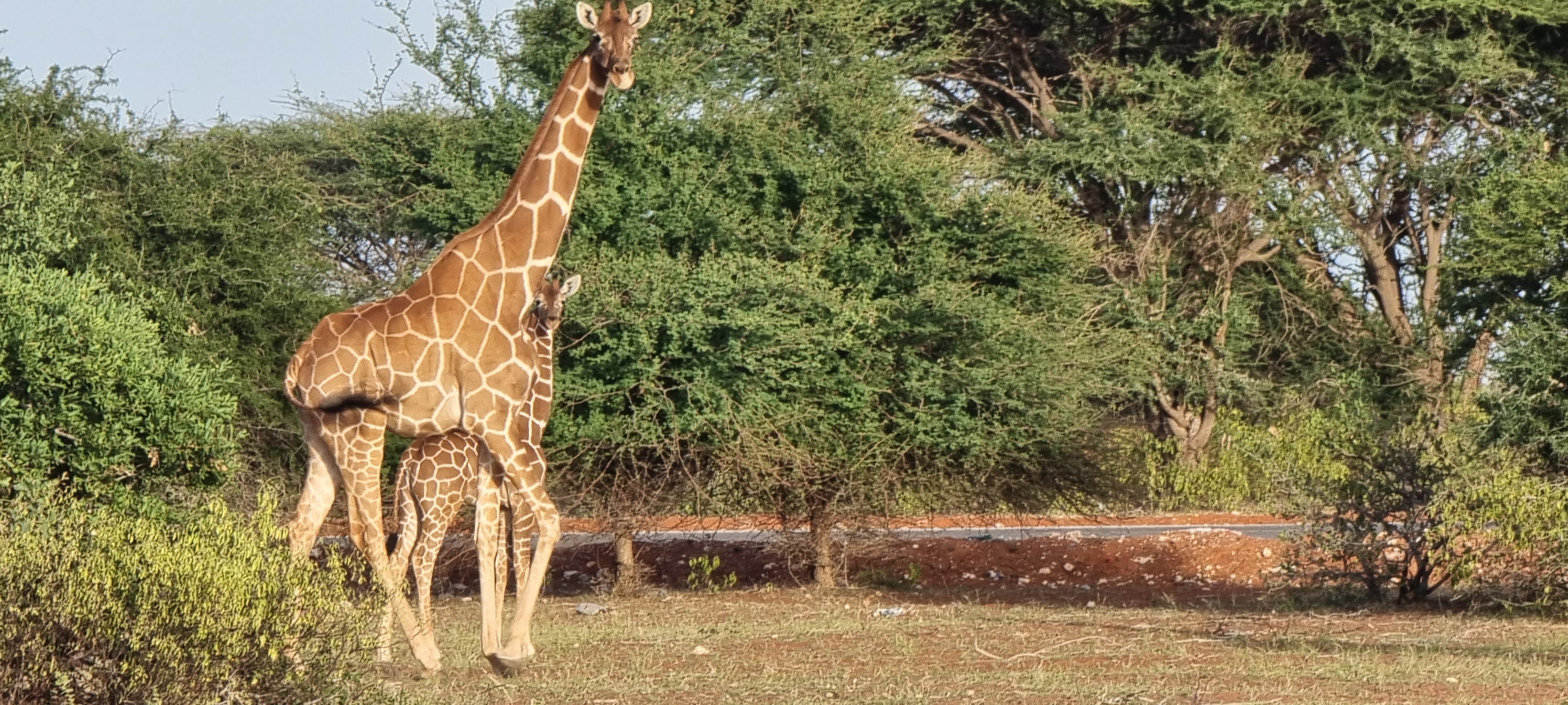 Wajir photo 3