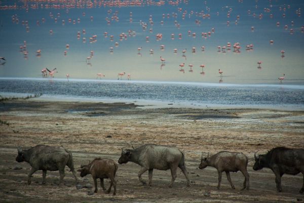 Nakuru photo 3