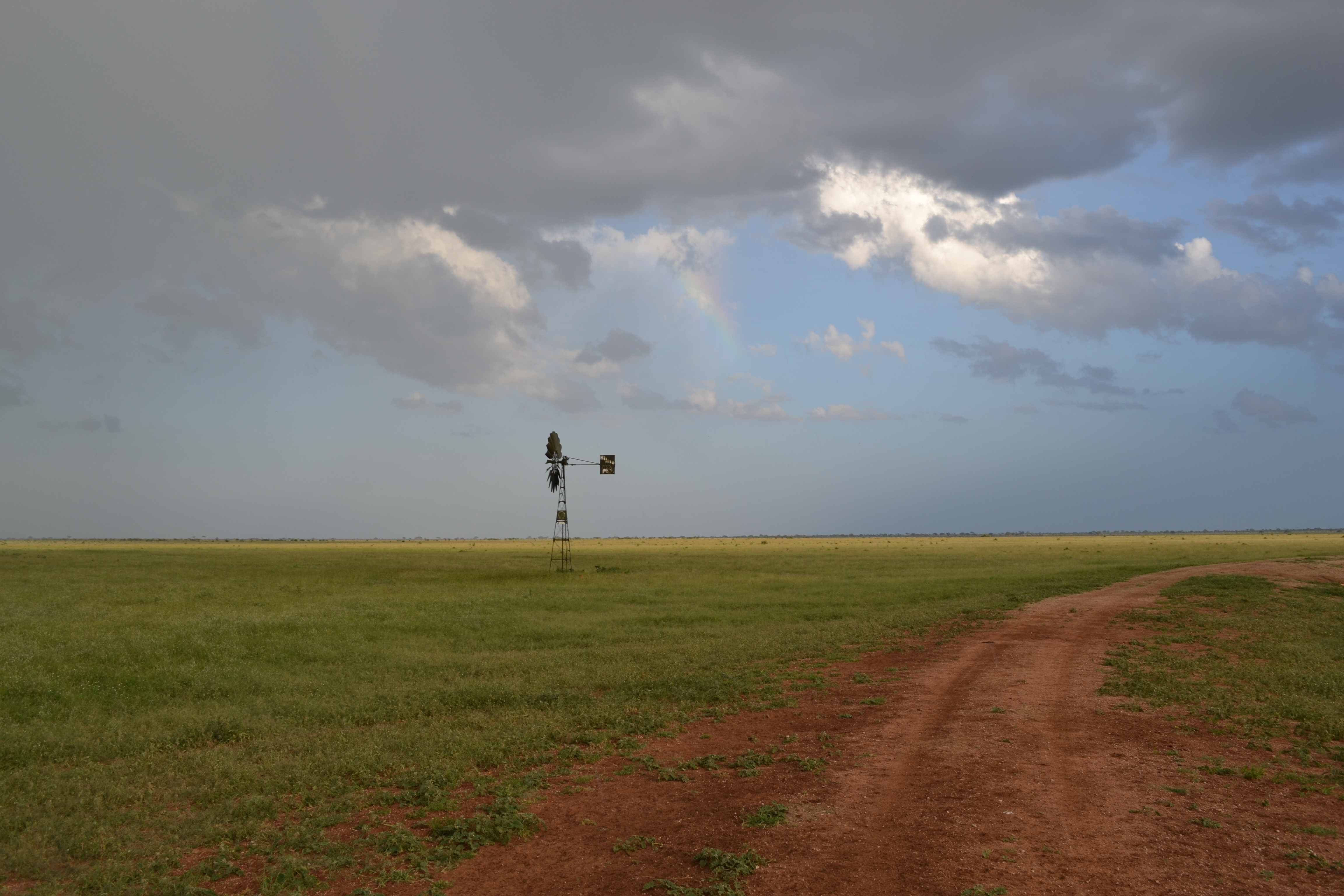 Ndara photo 3