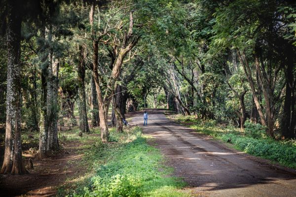 Rumuruti photo 4