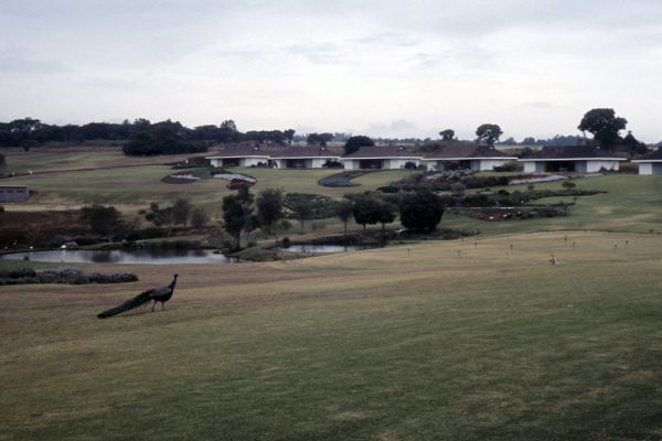 Nyeri photo 4