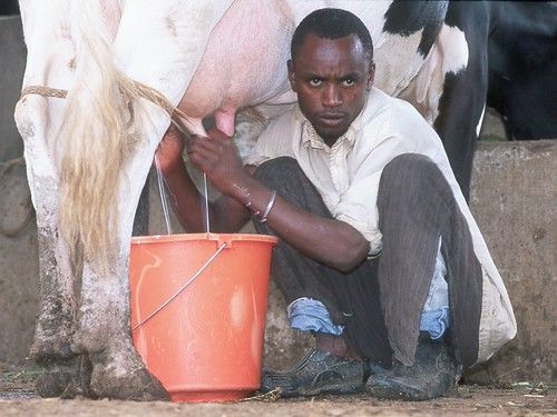 Machakos, Machakos County