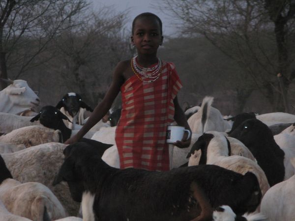 Sawa Sawa, Kwale County