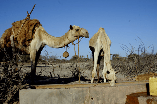 Marsabit photo 2