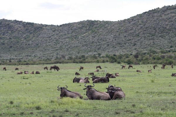 Obe, Isiolo County
