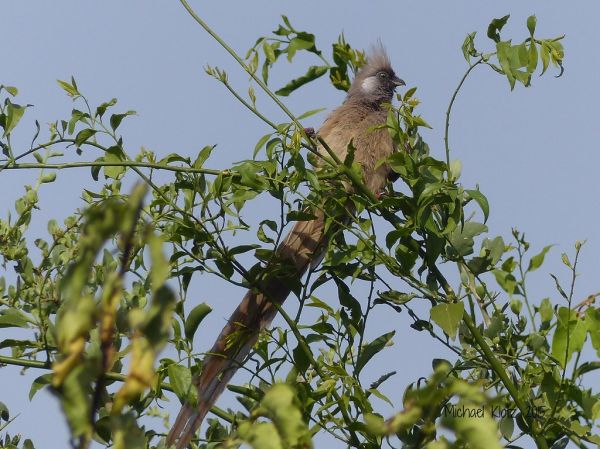 Narok photo 4