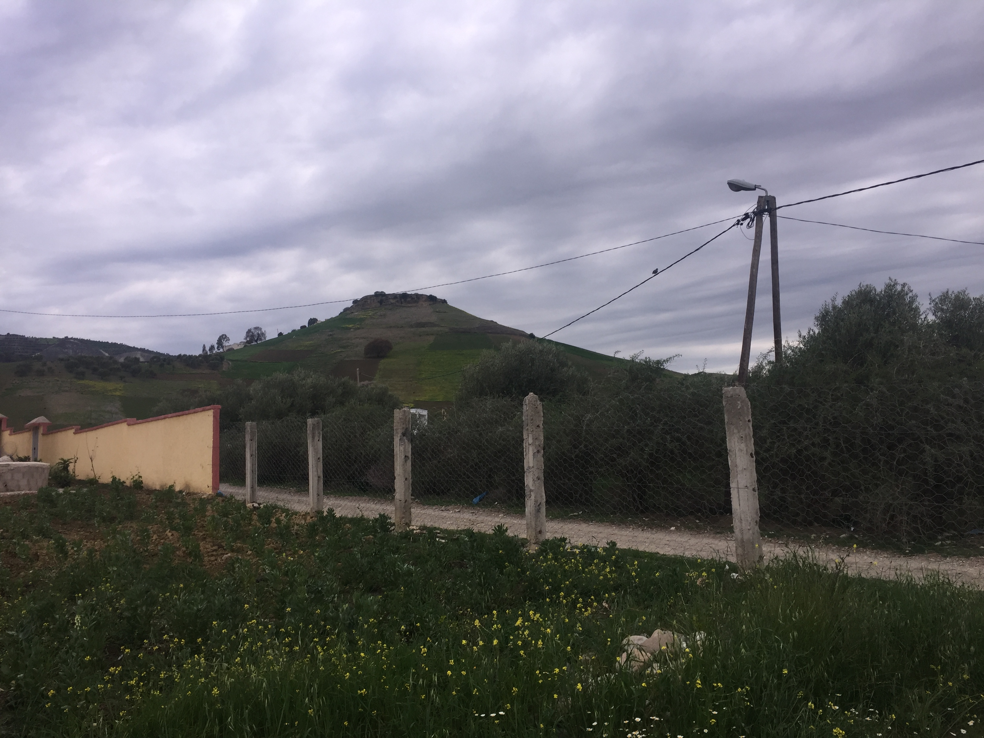 Taounate photo 4