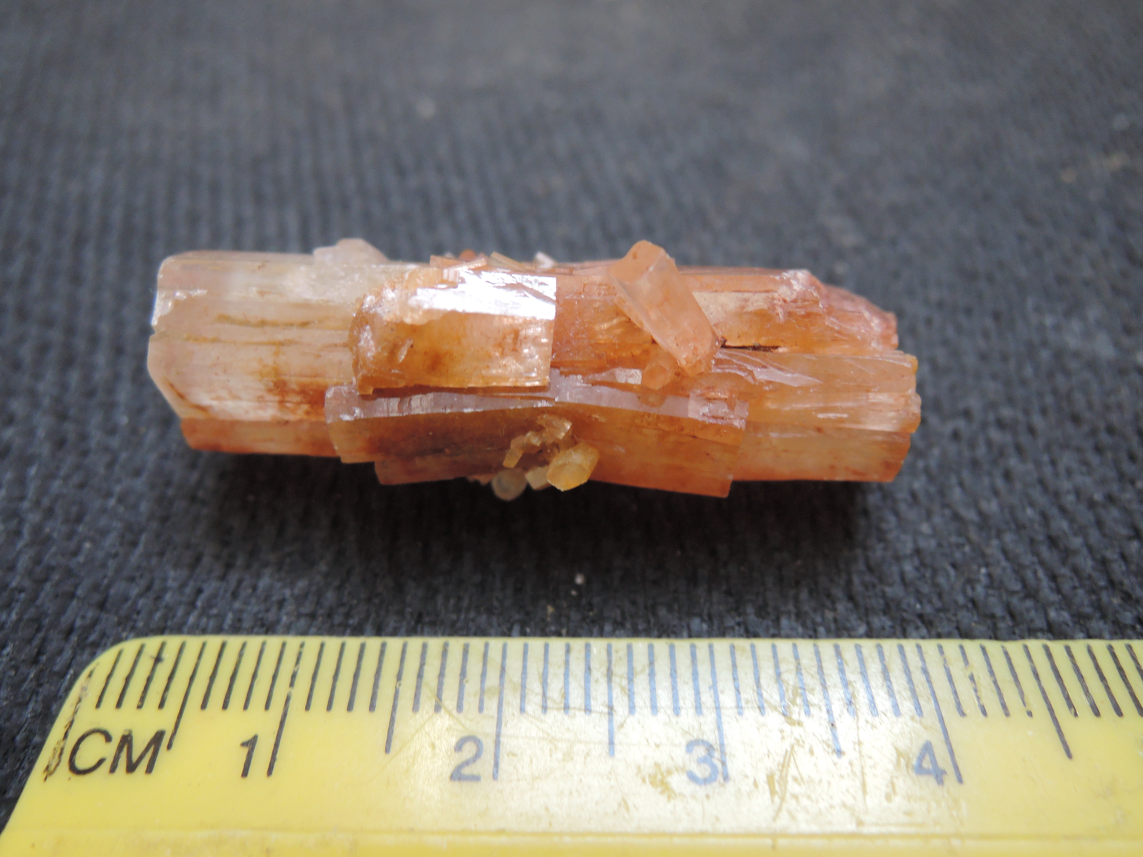 Tazouta photo 4