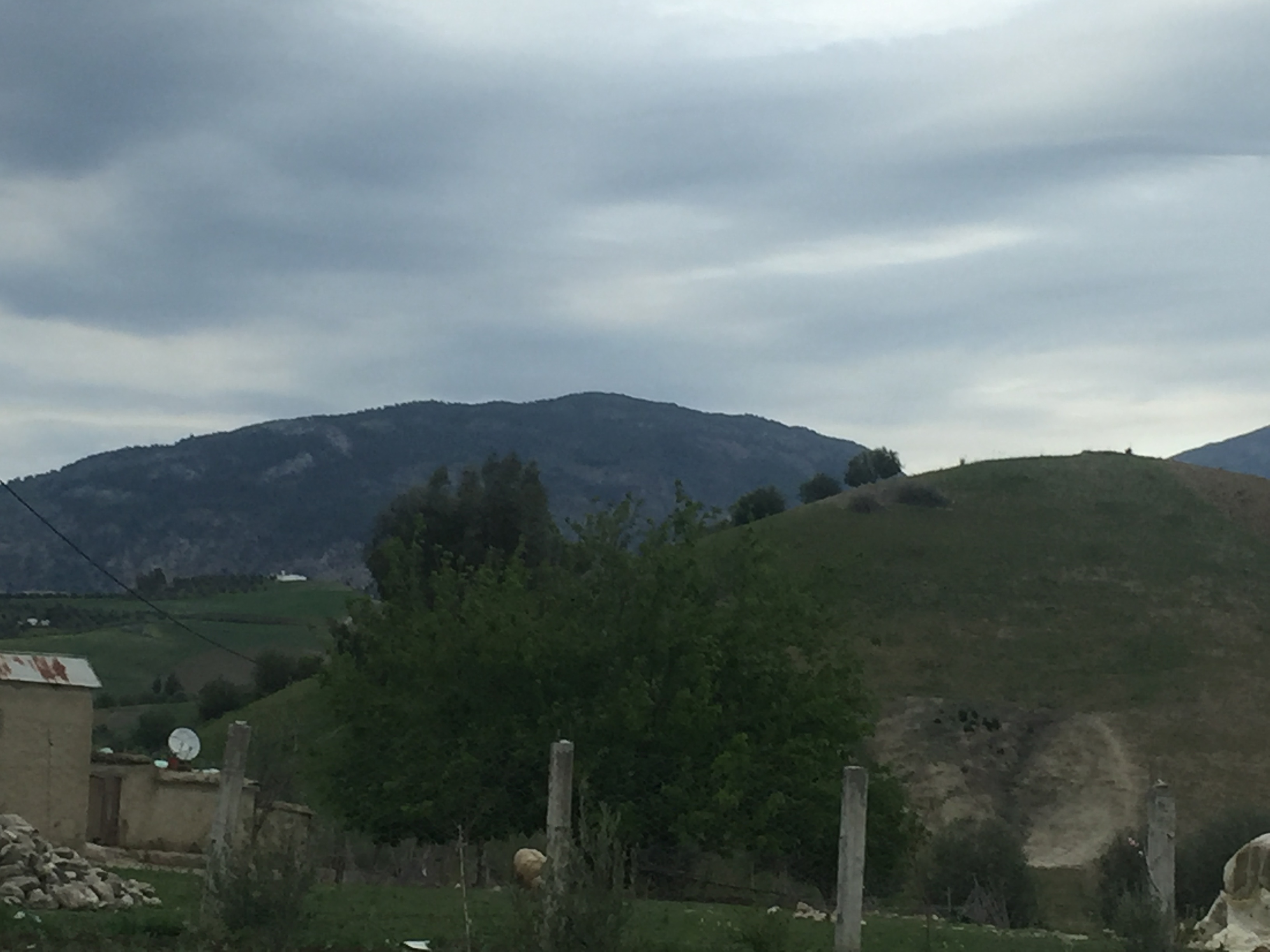 Taounate photo 3