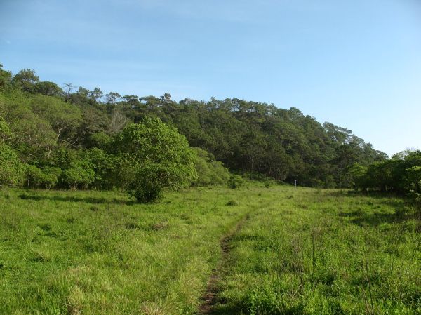 Cerro los Venados, Tamaulipas