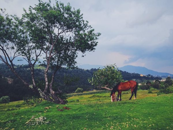 Jilotzingo, Mexico