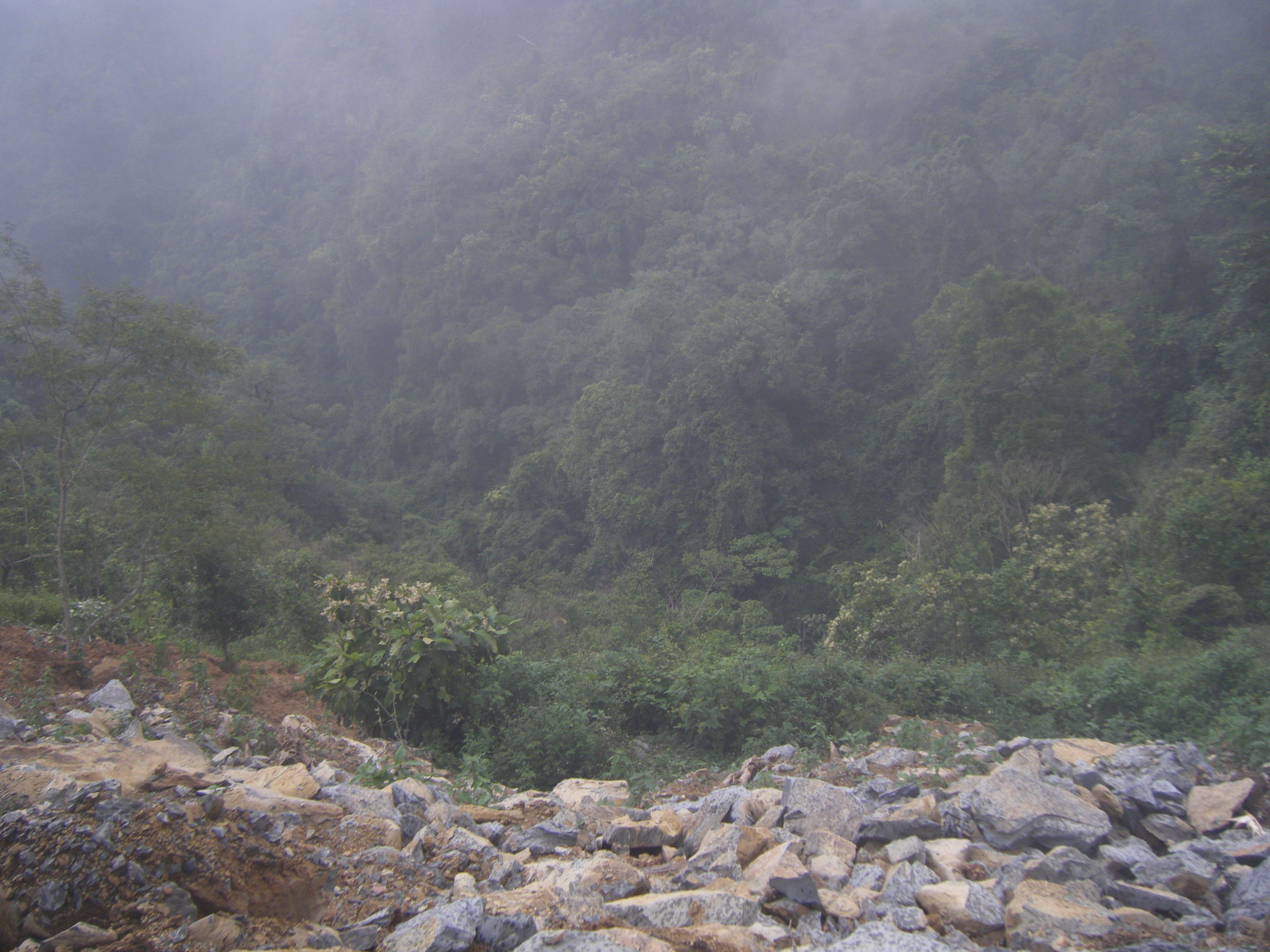 San Bartolo Tutotepec, Hidalgo