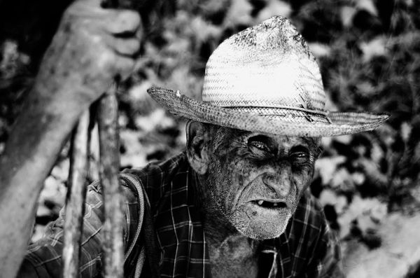 Paso de Ovejas, Veracruz