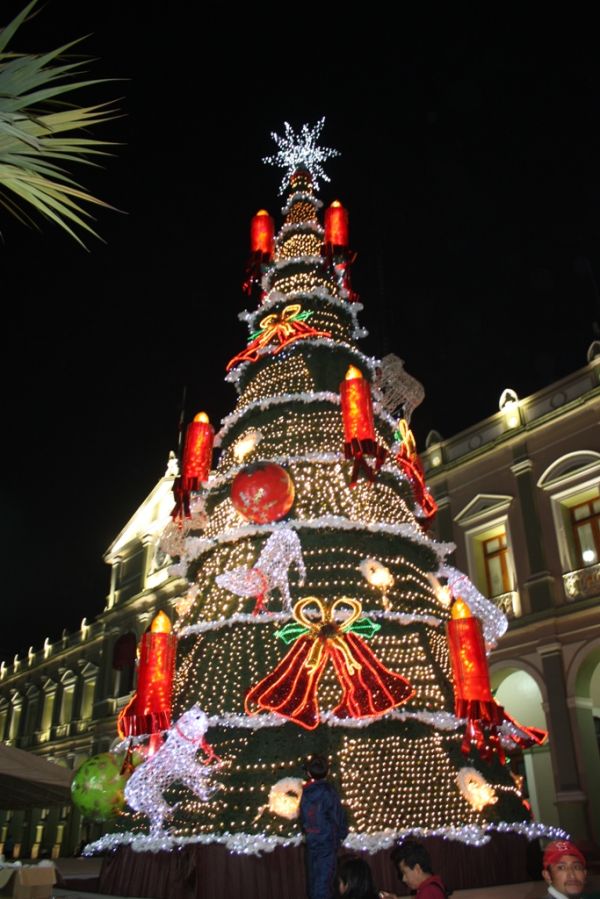 Yanga, Veracruz