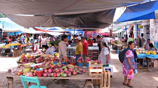 Villa de Zaachila photo 2