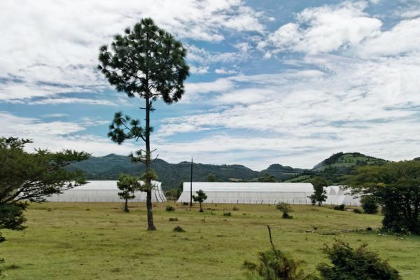 Aguacatenango, Chiapas