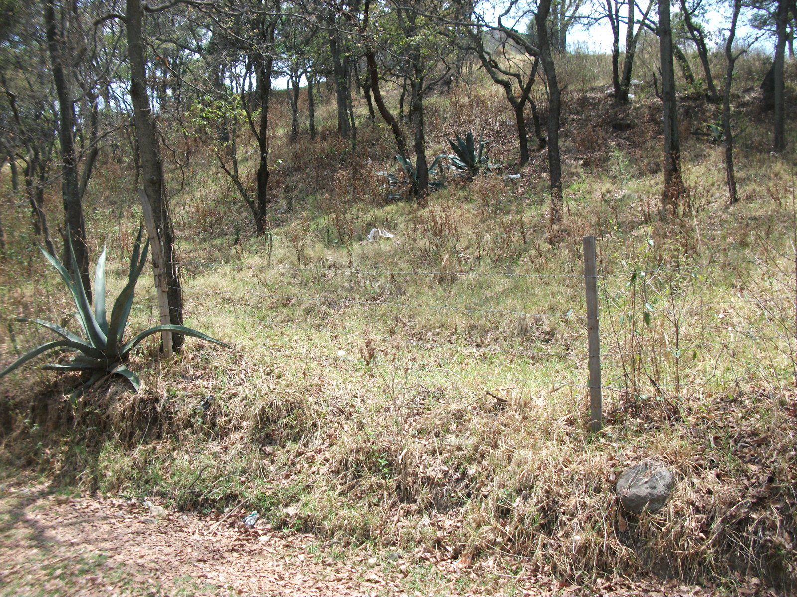 La Magdalena Chichicaspa, Mexico