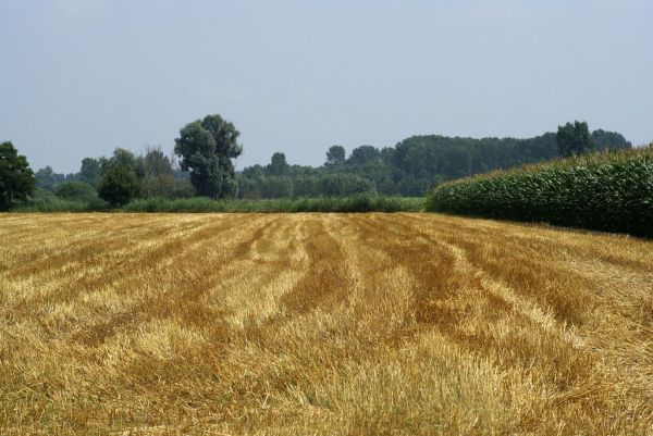 Liempde photo 4
