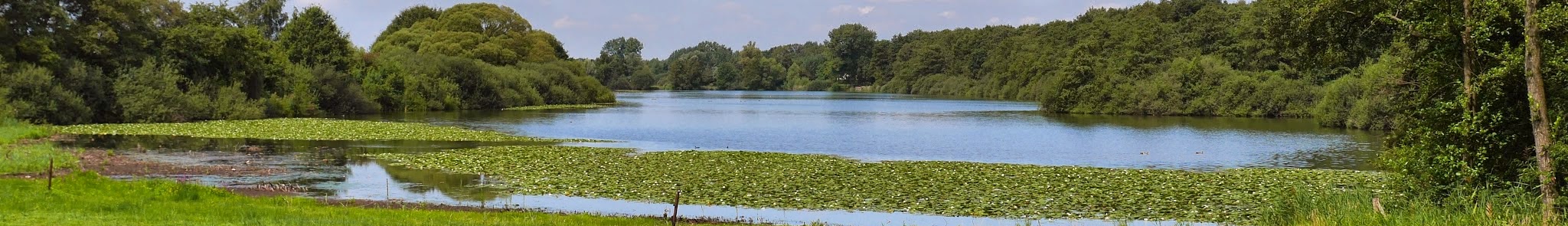 Wijchen photo 3
