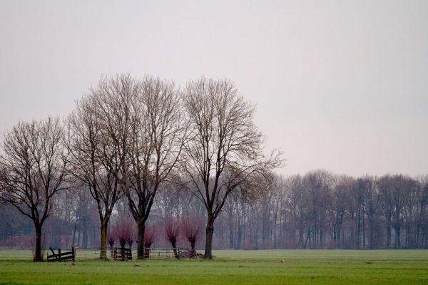 Hendrik-Ido-Ambacht, South Holland
