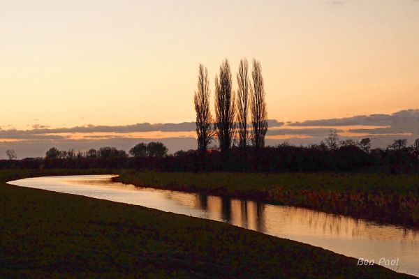 Elst, Gelderland