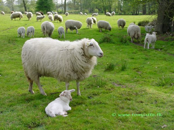 Nijverdal, Overijssel
