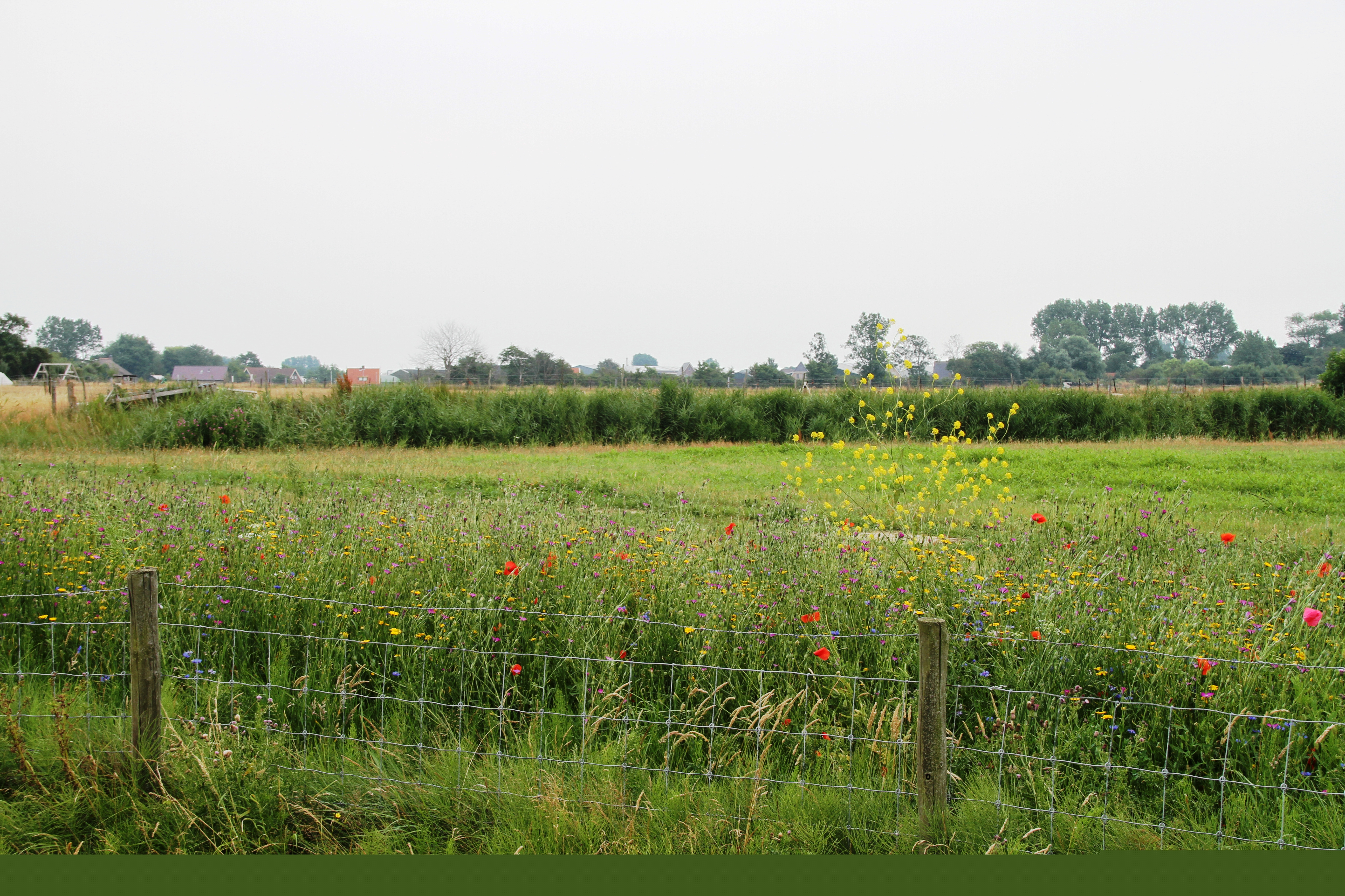 Hippolytushoef photo 3