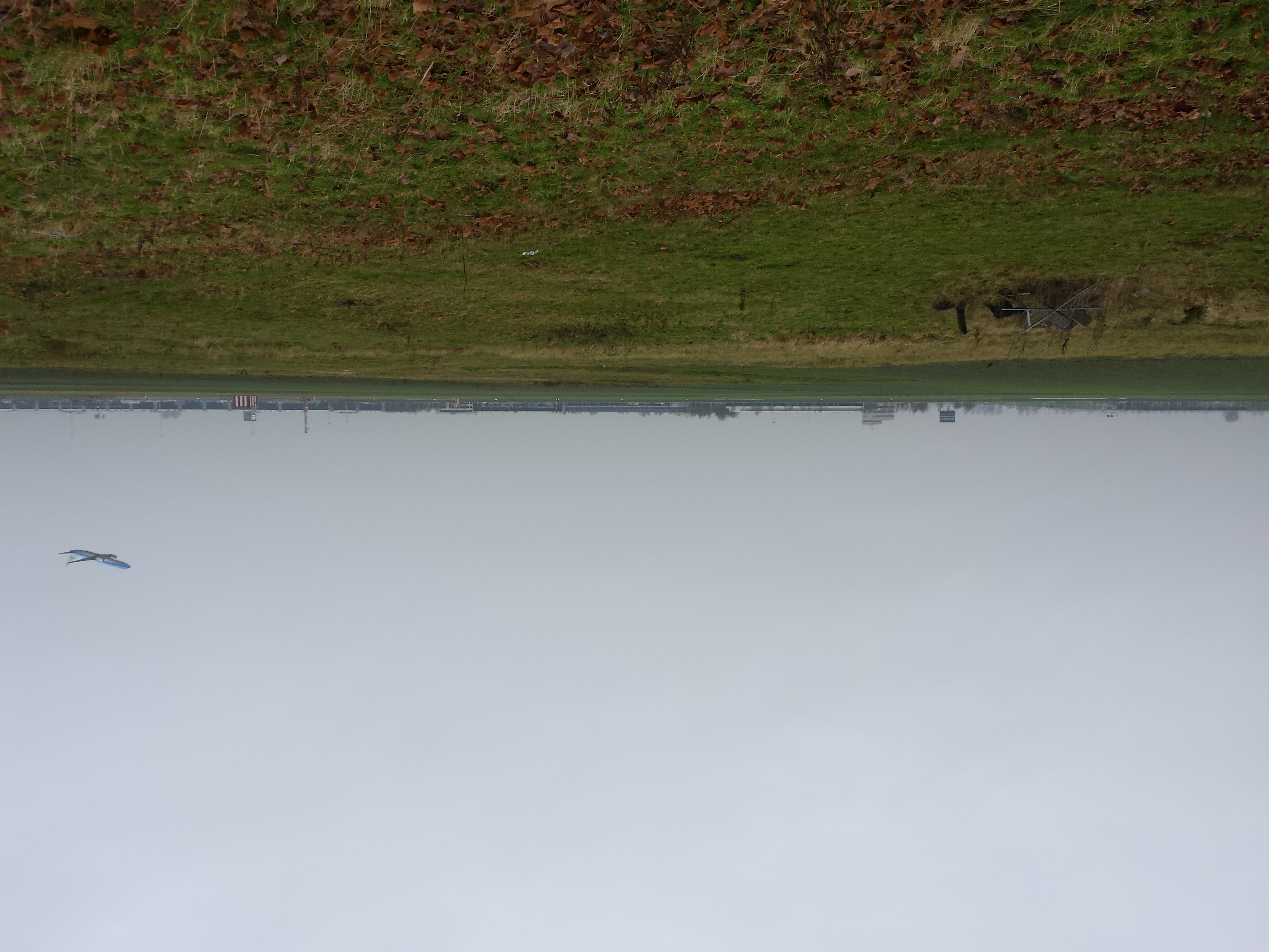 Rozenburg photo 3