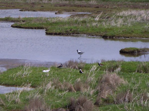 Putten photo 2