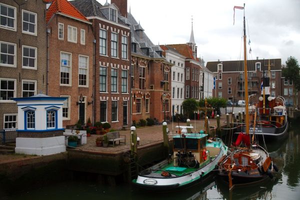 Maasland photo 3